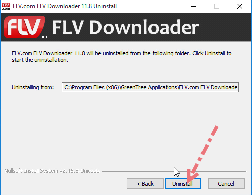 Remove FLV Player in Windows. 